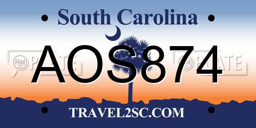 AOS874 South Carolina License Plate