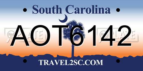 AOT6142 South Carolina License Plate