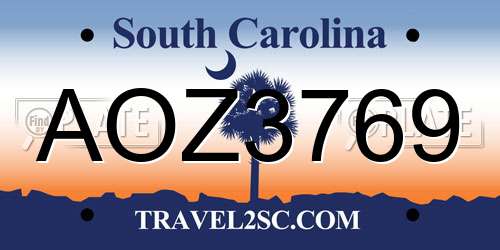 AOZ3769 South Carolina License Plate