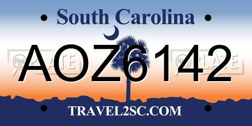 AOZ6142 South Carolina License Plate