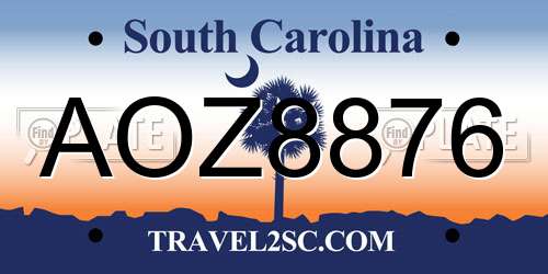 AOZ8876 South Carolina License Plate