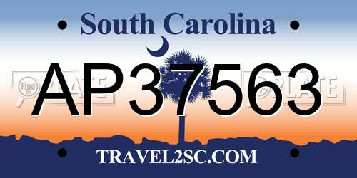 AP37563 South Carolina License Plate