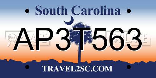 AP3T563 South Carolina License Plate