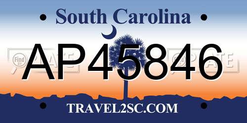 AP45846 South Carolina License Plate