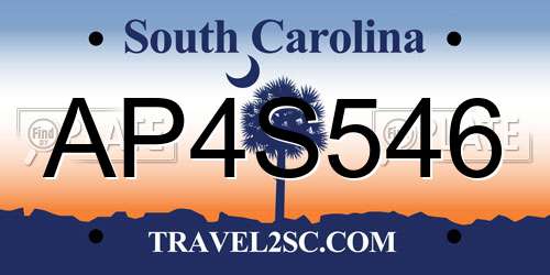 AP4S546 South Carolina License Plate