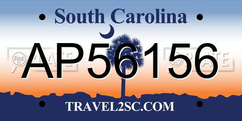 AP56156 South Carolina License Plate