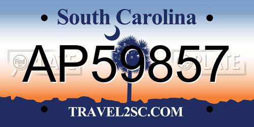 AP59857 South Carolina License Plate