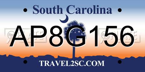 AP8G156 South Carolina License Plate