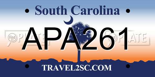 APA261 South Carolina License Plate
