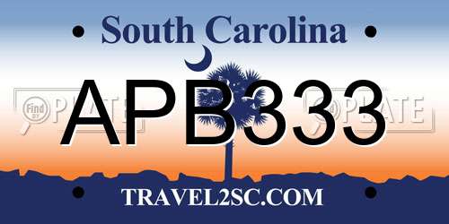 APB333 South Carolina License Plate