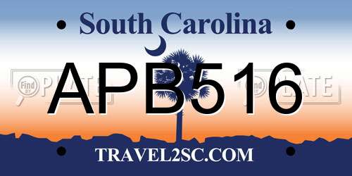 APB516 South Carolina License Plate