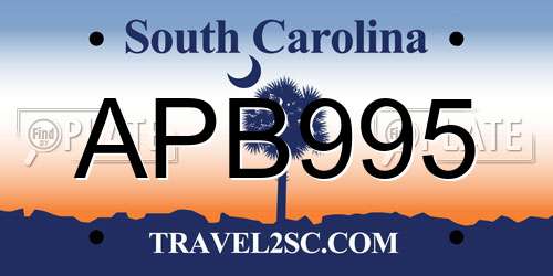 APB995 South Carolina License Plate