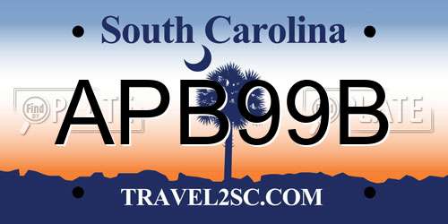 APB99B South Carolina License Plate