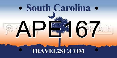 APE167 South Carolina License Plate