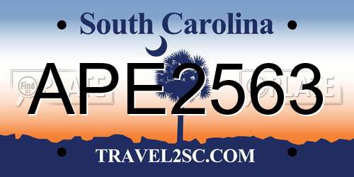 APE2563 South Carolina License Plate