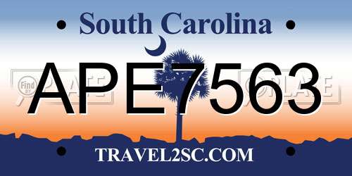 APE7563 South Carolina License Plate