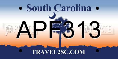 APF313 South Carolina License Plate
