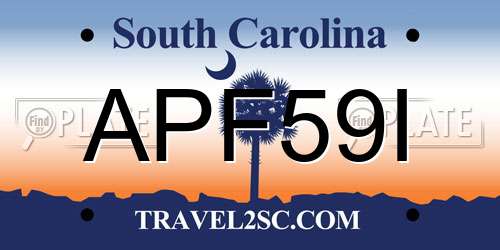APF59I South Carolina License Plate