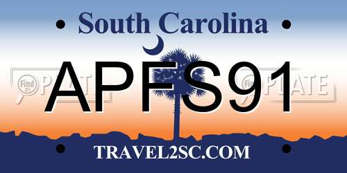 APFS91 South Carolina License Plate