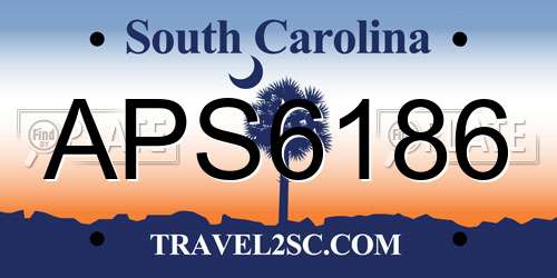 APS6186 South Carolina License Plate