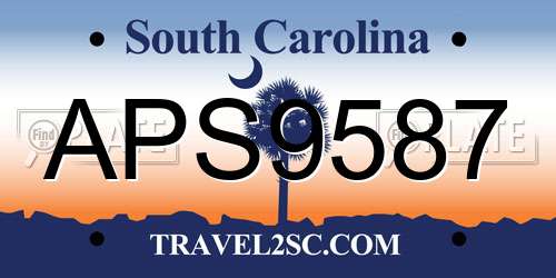 APS9587 South Carolina License Plate