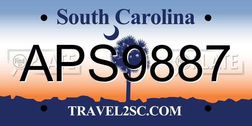 APS9887 South Carolina License Plate