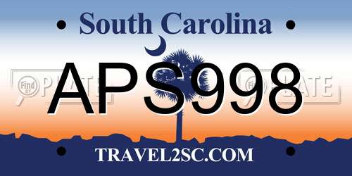 APS998 South Carolina License Plate