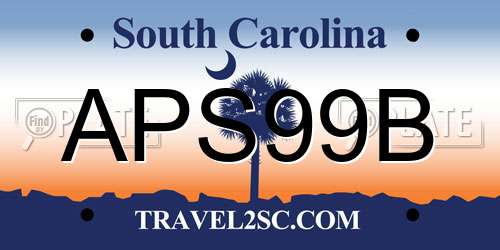 APS99B South Carolina License Plate