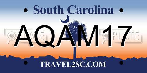AQAM17 South Carolina License Plate