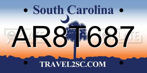 AR8T687 South Carolina License Plate