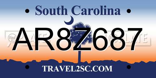 AR8Z687 South Carolina License Plate