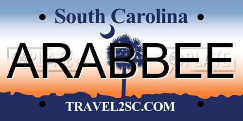 ARABBEE South Carolina License Plate
