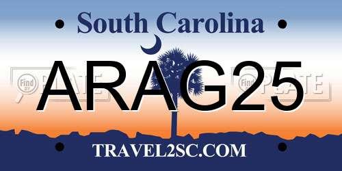 ARAG25 South Carolina License Plate