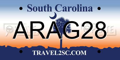 ARAG28 South Carolina License Plate