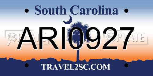 ARI0927 South Carolina License Plate