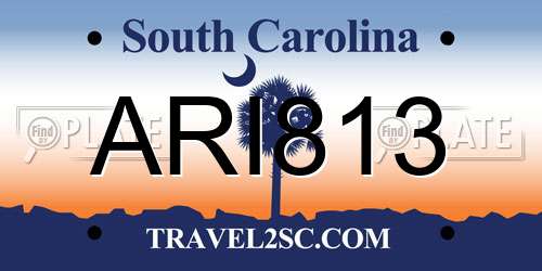 ARI813 South Carolina License Plate
