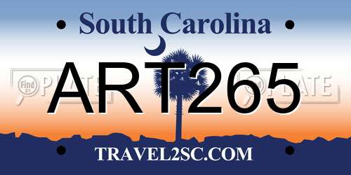 ART265 South Carolina License Plate