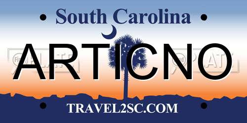 ARTICNO South Carolina License Plate