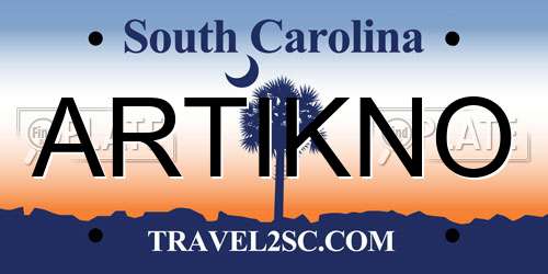 ARTIKNO South Carolina License Plate