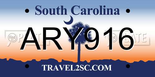 ARY916 South Carolina License Plate