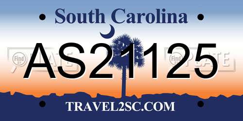 AS21125 South Carolina License Plate