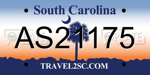AS21175 South Carolina License Plate
