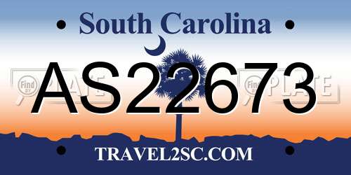 AS22673 South Carolina License Plate