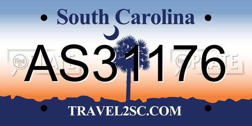 AS31176 South Carolina License Plate