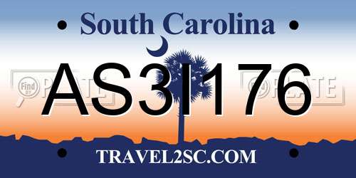 AS3I176 South Carolina License Plate