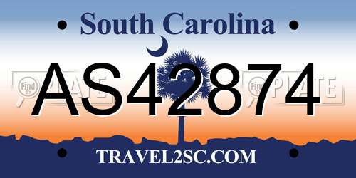 AS42874 South Carolina License Plate