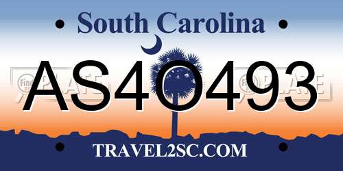 AS4O493 South Carolina License Plate