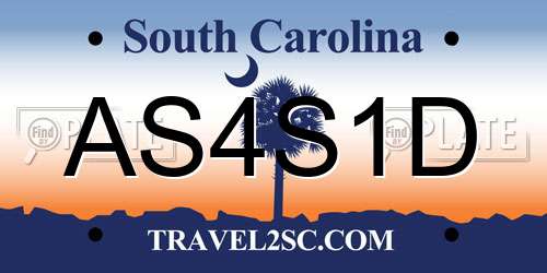 AS4S1D South Carolina License Plate