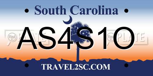AS4S1O South Carolina License Plate