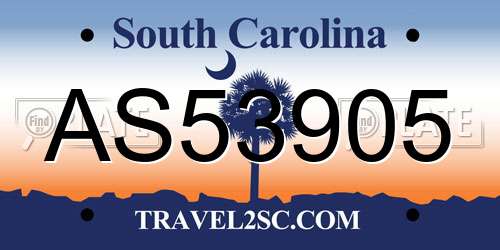 AS53905 South Carolina License Plate